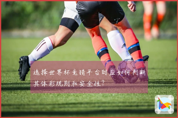 选择世界杯竞猜平台时应如何判断其体彩规则和安全性？