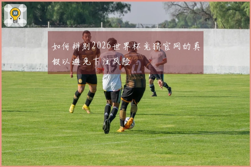 如何辨别2026世界杯竞猜官网的真假以避免下注风险