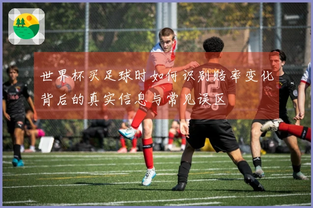 世界杯买足球时如何识别赔率变化背后的真实信息与常见误区
