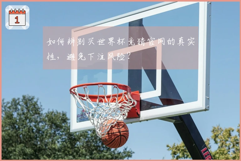 如何辨别买世界杯竞猜官网的真实性，避免下注风险？