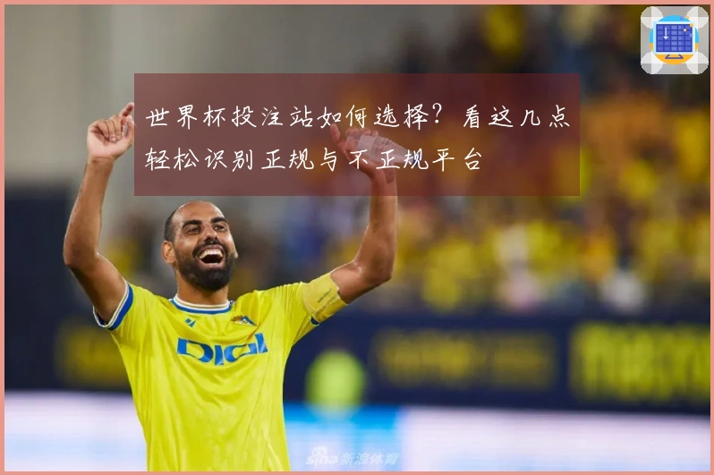 世界杯投注站如何选择？看这几点轻松识别正规与不正规平台