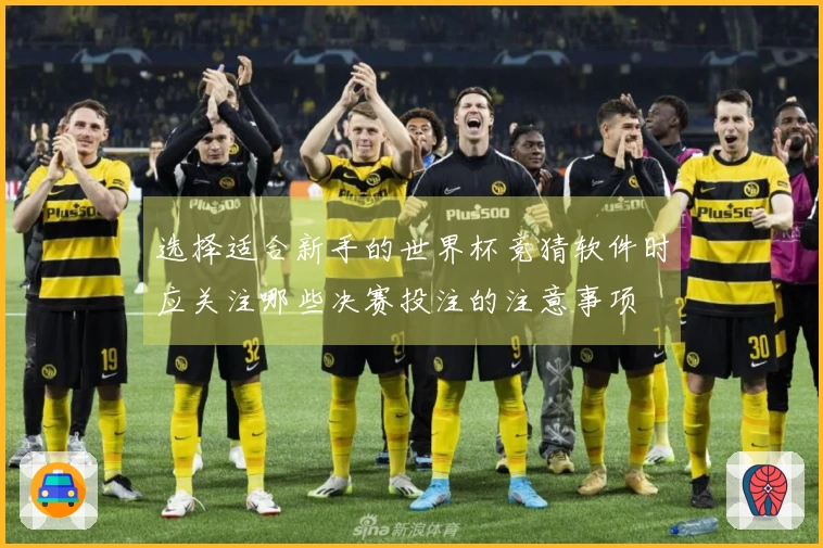 选择适合新手的世界杯竞猜软件时应关注哪些决赛投注的注意事项