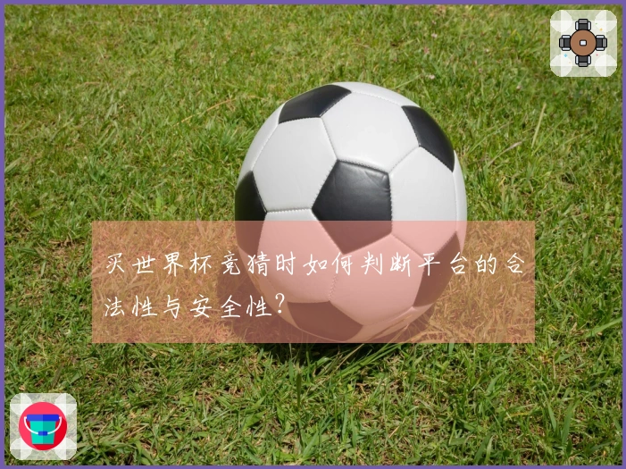 买世界杯竞猜时如何判断平台的合法性与安全性？