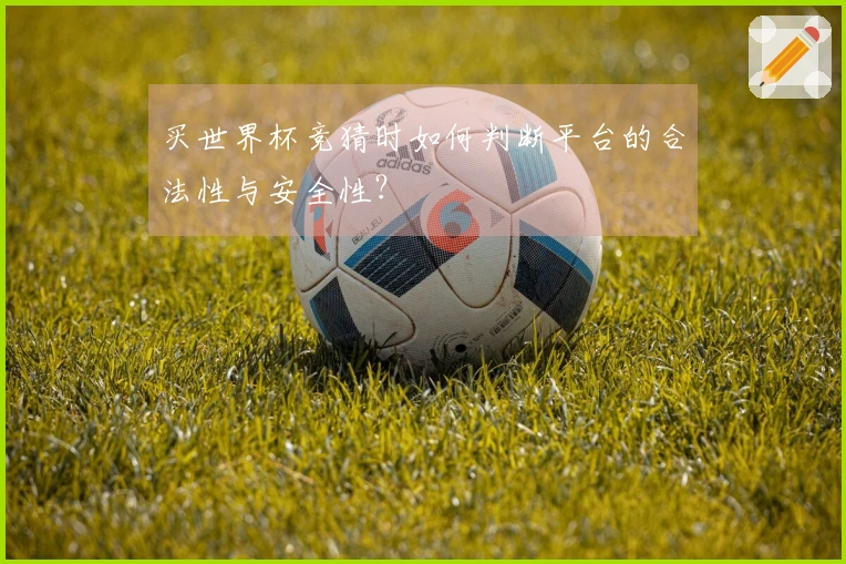 买世界杯竞猜时如何判断平台的合法性与安全性？