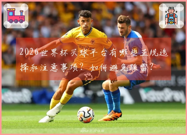 2026世界杯买球平台有哪些正规选择和注意事项？如何避免踩雷？