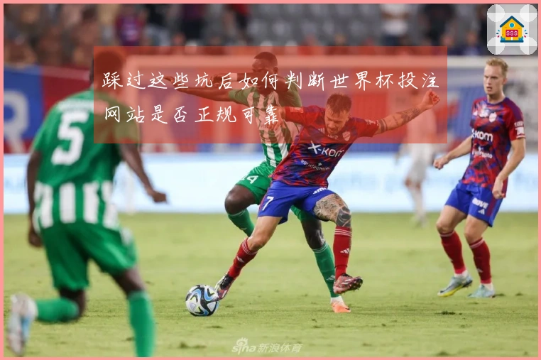 踩过这些坑后如何判断世界杯投注网站是否正规可靠