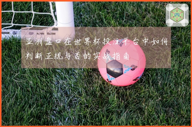 亚洲盘口在世界杯投注平台中如何判断正规与否的实战指南