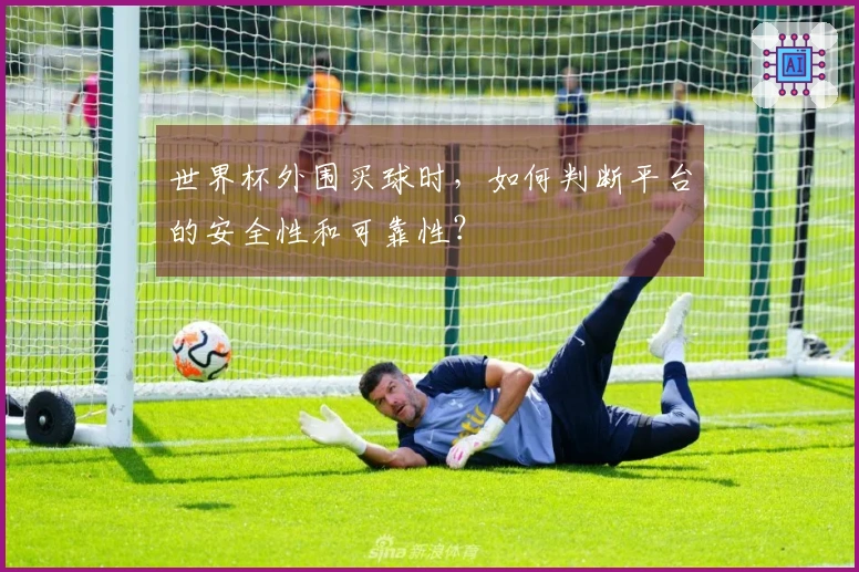 世界杯外围买球时，如何判断平台的安全性和可靠性？