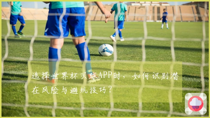 选择世界杯买球APP时，如何识别潜在风险与避坑技巧？