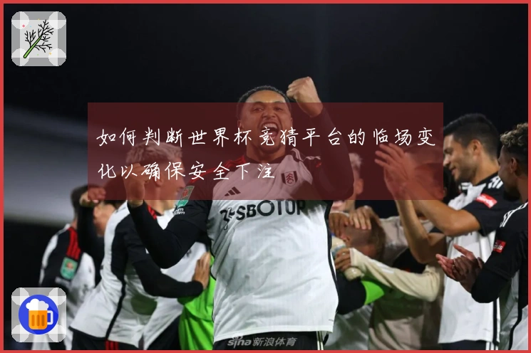 如何判断世界杯竞猜平台的临场变化以确保安全下注