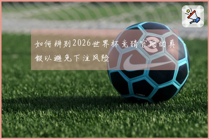 如何辨别2026世界杯竞猜官网的真假以避免下注风险