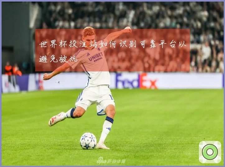 世界杯投注站如何识别可靠平台以避免被坑