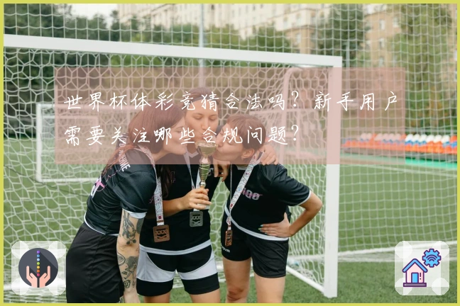 世界杯体彩竞猜合法吗？新手用户需要关注哪些合规问题？