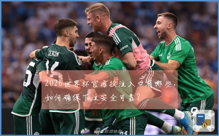2026世界杯官方投注入口有哪些，如何确保下注安全可靠？
