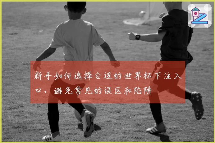 新手如何选择合适的世界杯下注入口，避免常见的误区和陷阱
