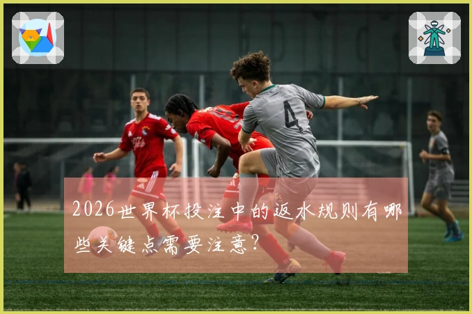 2026世界杯投注中的返水规则有哪些关键点需要注意？